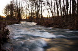 Freshet  -  River photo