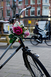 Flowers on the handlebars of an Amsterdam bicycle 2 ~ Bike picture from Amsterdam Netherlands.