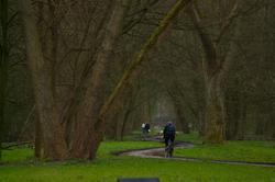 Amsterdam Cyclist -  Park photo