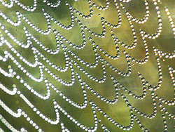   Abstract photo