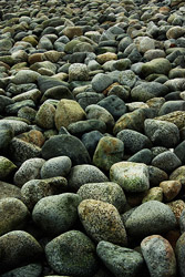 A Cobbled Beach -  Beach photo