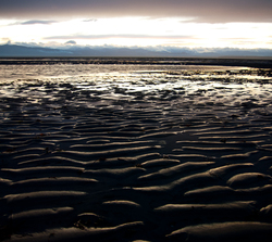 Beach -  Beach photo