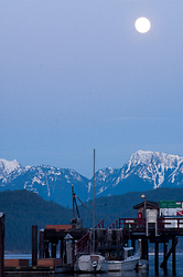 A Harbour in Desolation Sound  -   photo