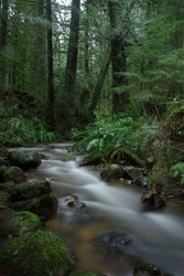 Gorge Creek - Creek photo from  Cortes Island BC, Canada
