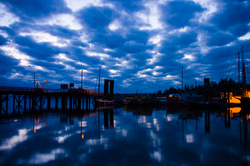 Mansons Landing Dock -  Dock photo