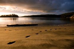 Footprints in the Sand -   photo