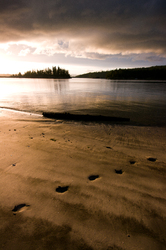 Footprints in the Sand 2 -   photo