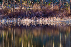 Waters Edge  II -   photo