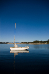   Sailing Dingy photo