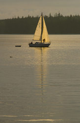   Sailing photo