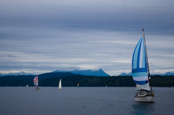  sailing photo