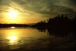 Cat Islands In Gold -   photo