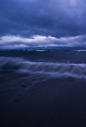 Portrait of a South East Gale -   photo