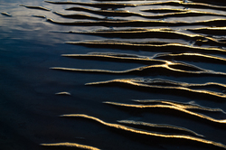 Shore line -  Seashore  photo