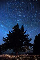 North Star ~ Star picture from Cortes Island Canada.