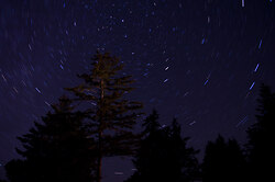 Polaris -  Star photo