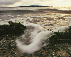   Wave photo