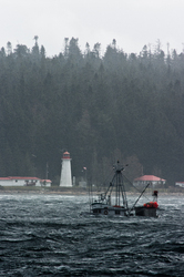 Running before the gale  -  Fishing Boat photo