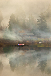 Misty Morning ~ Landscape picture from Cortes Island Canada.