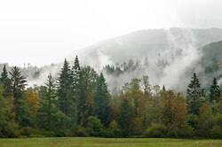 Mist Rising from the Nooksack River Valley - Nooksack River  photo