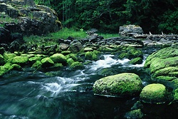 Emerald Creek - Cortes Island  photo