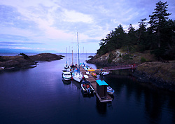 Squitty Bay  -  Harbour photo