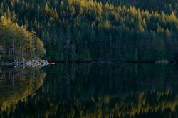 Port Neville Campsite -   photo