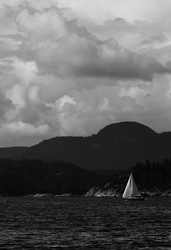   Sailing photo