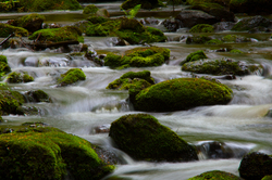 Water Flowing Over Stones -  River photo