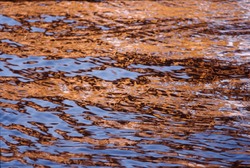 Reflection #7 -   photo