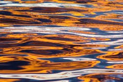 Reflection #8 -   photo