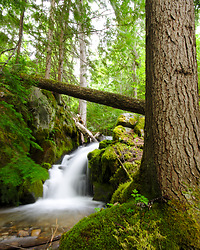 Climax Creek Waterfall - Waterfall photo from  Slocan Valley British Columbia, Canada