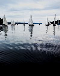 Shark Spit Regatta -  Sailing photo