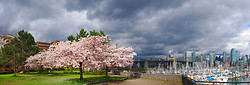 Springtime in Vancouver -  Urban Panorama photo