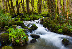 Waterfall  -  Waterfall photo