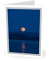 Moonrise Migration - Birds At Night photo from Safety Cove Calvert Island BC, Canada
