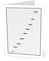 Departure - Goose photo from  Cortes Island BC, Canada