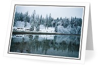 Winter Shorline - Landscape photo from Smelt Bay Cortes Island British Columbia, Canada