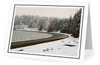 Winter at Smelt Bay - Landscape photo from Smelt Bay Cortes Island British Columbia, Canada