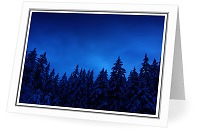 Winter Forest - Snow photo from  Cortes Island BC, Canada