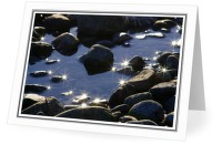 Stars - Tide Pool photo from  Cortes Island BC, Canada