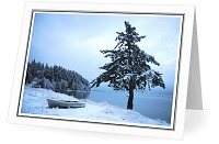 West Coast Christmas - Winter Landscape photo from  Cortes Island British Columbia, Canada