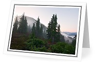 Predawn at Mount Washington - Landscape photo from  Mount Washington British Columbia, Canada