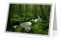 Spring - Creek photo from  Route de Plombiers Haute-Saone, France