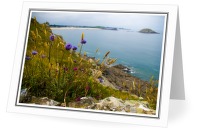 Bretagne Wildflowers - Landscape  photo from  St. Malo Bretagne, France