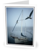 Seagull Patrol - Sailboat photo from Granville Island Vancouver BC, Canada