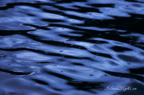   Reflection photo