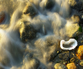 Cortes Island Seascape picture