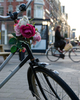 Amsterdam Bicycle picture