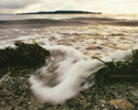 Wave #35 - Wave photo from  Cortes Island BC, Canada